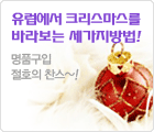 웹투어